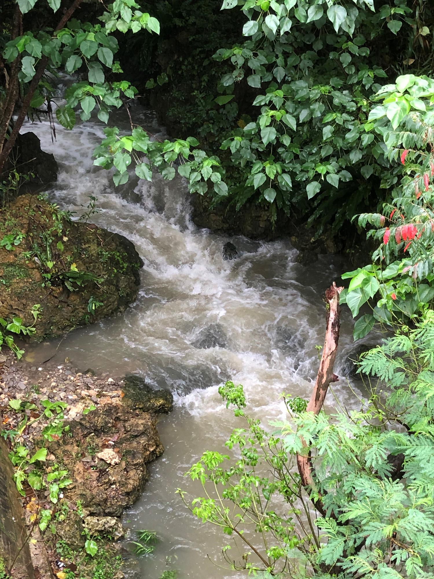 川も濁流