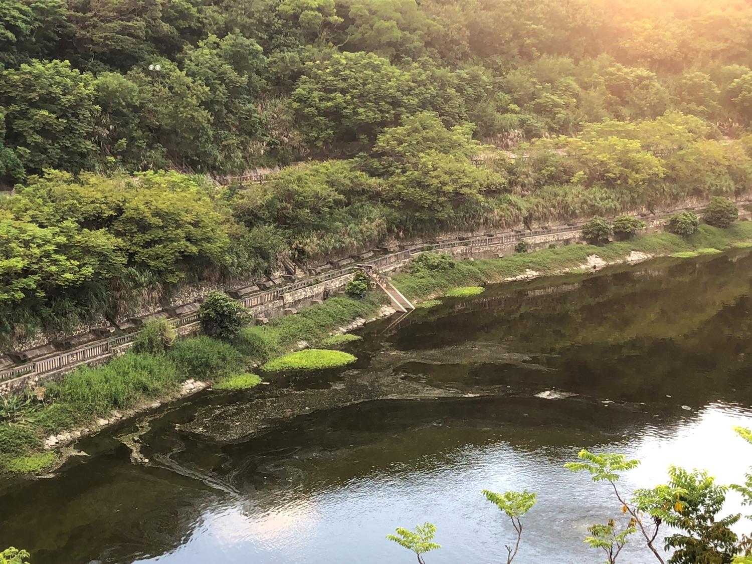金城ダムの水が少ない