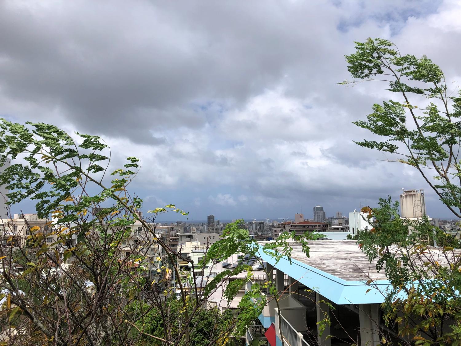 剪定した後、数本はあえて残す