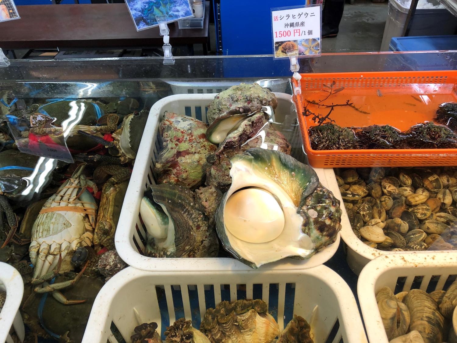 やこう貝とウニ