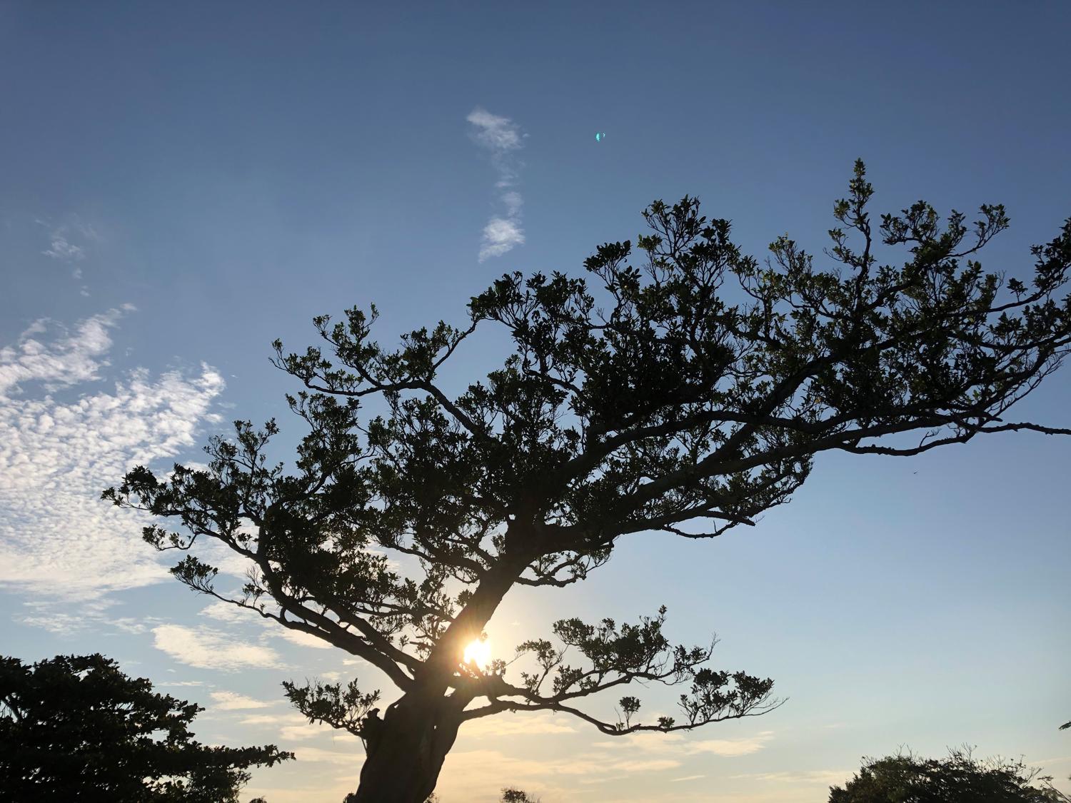 秋空