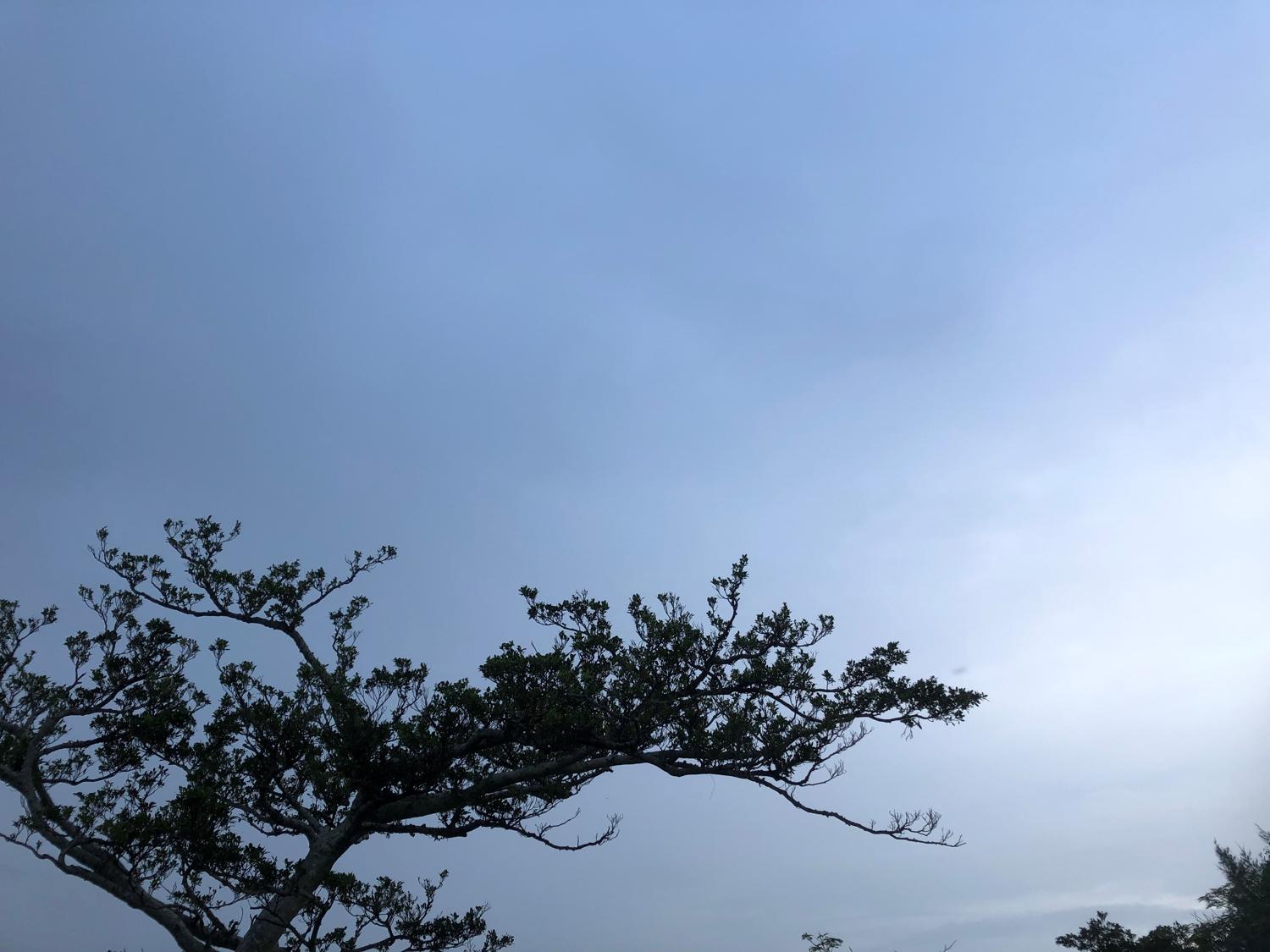 イェスタディの１６時４９分