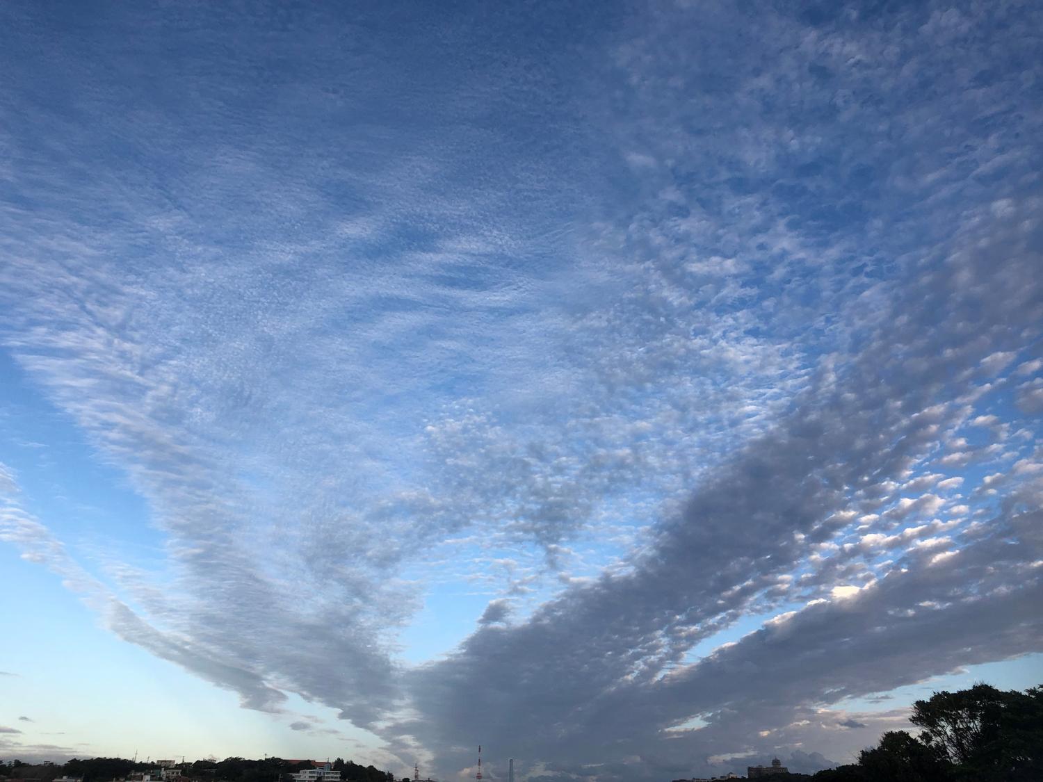 イワシ雲