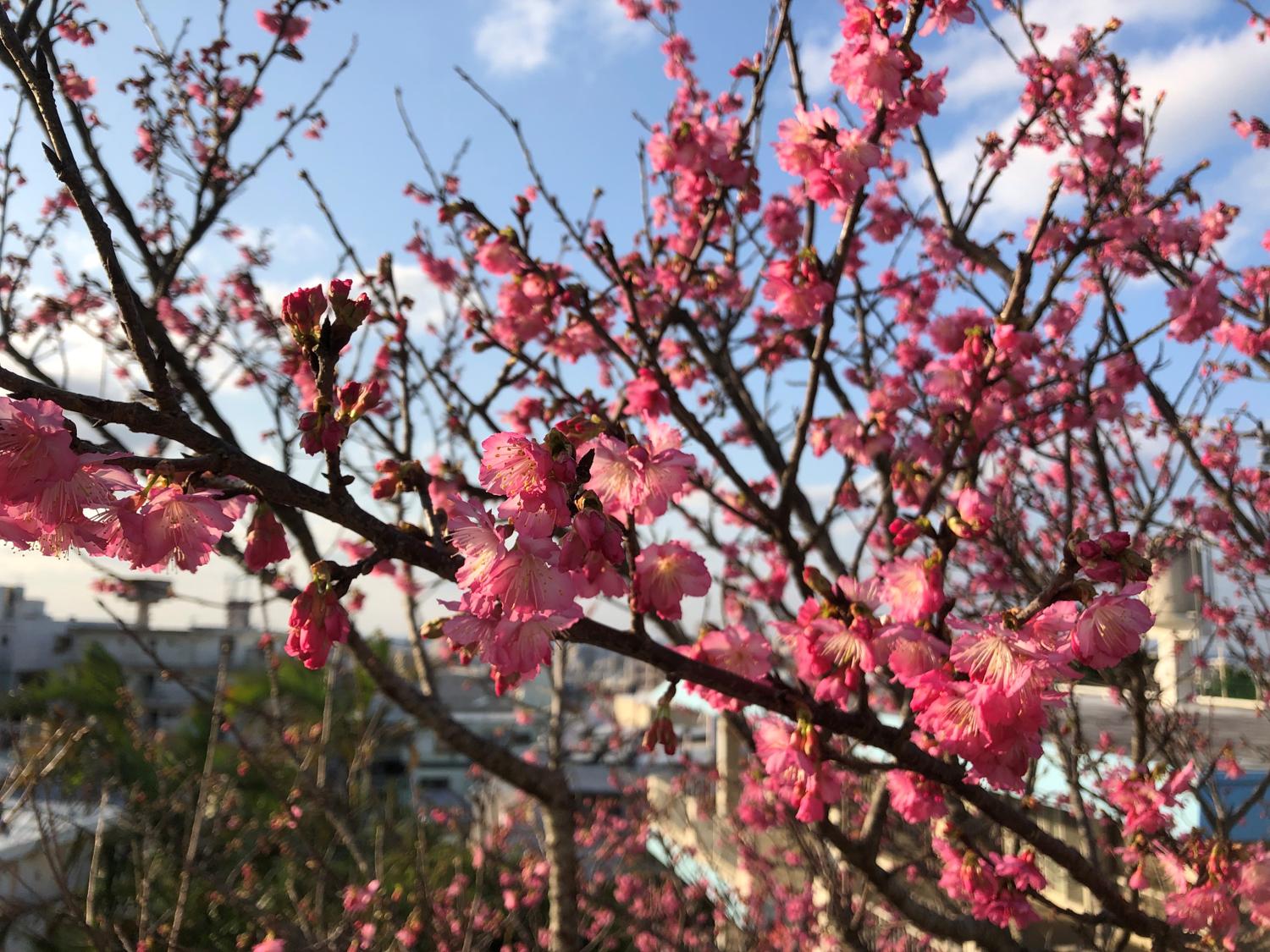 風呂場の上から２