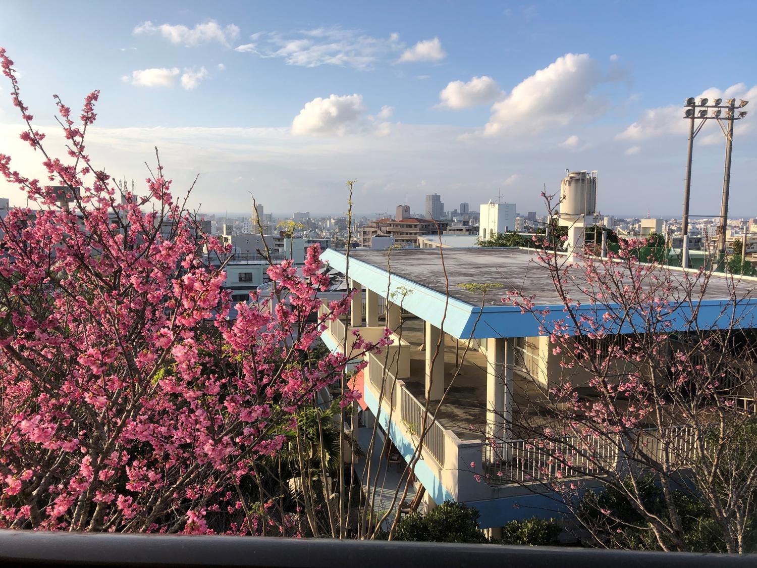 イェスタディの１７時０３分
