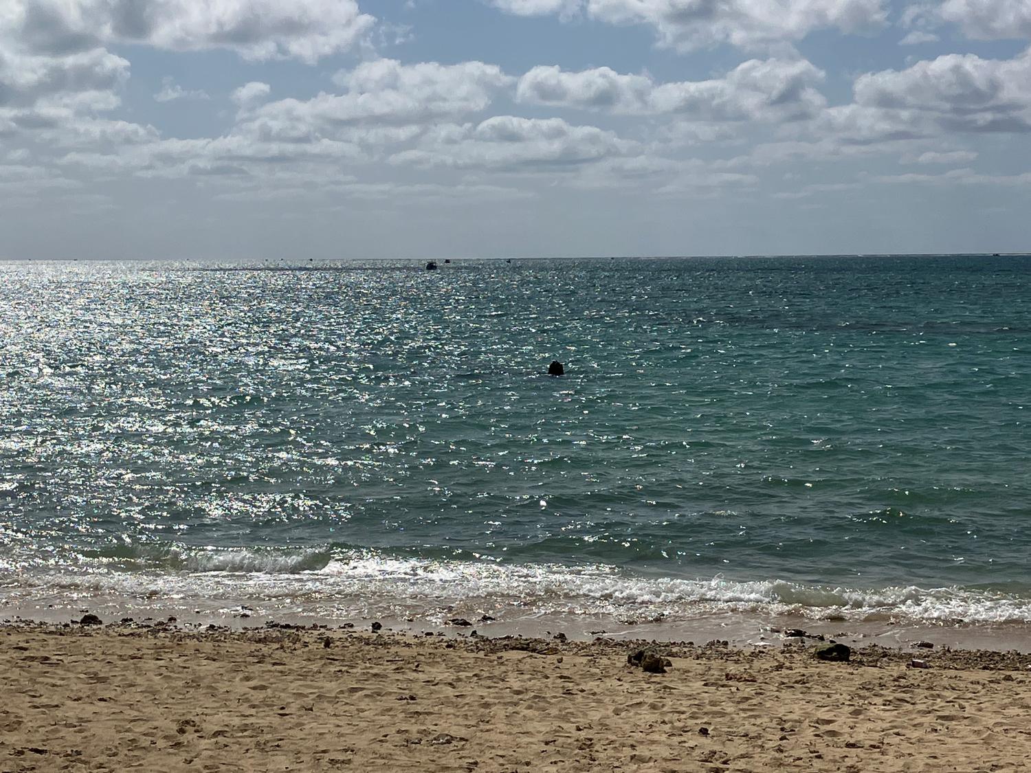 海に突き出たヤハラヅカサ