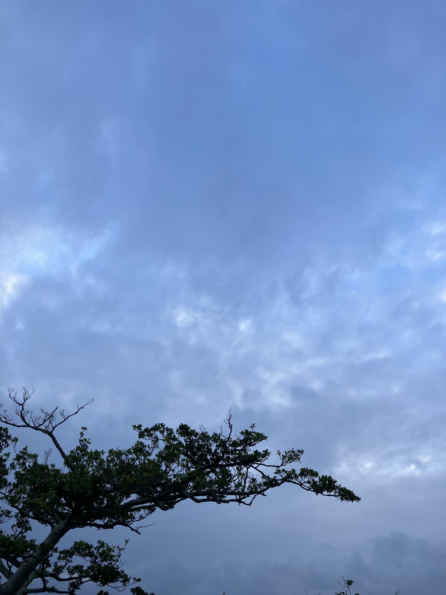 イェスタディの１７時１４分
