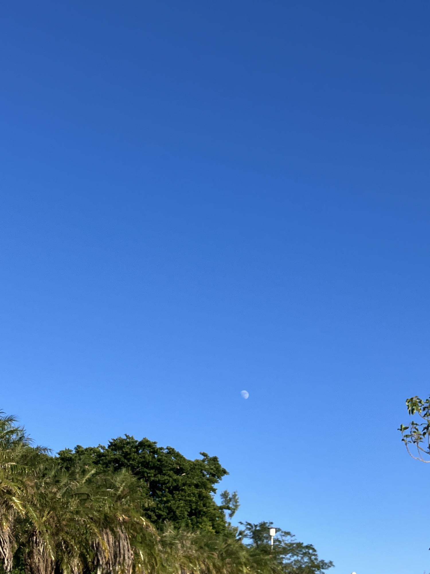 イェスタディの１６時０５分　快晴　月が綺麗