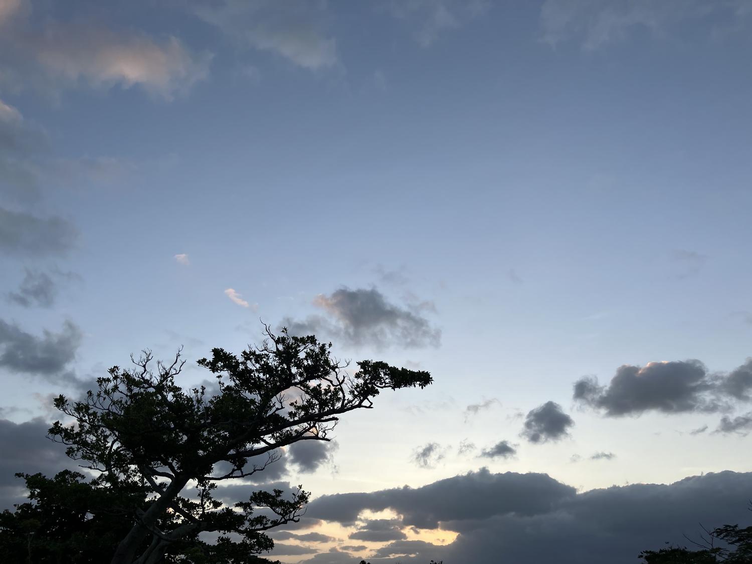 イェスタディの１７時２９分