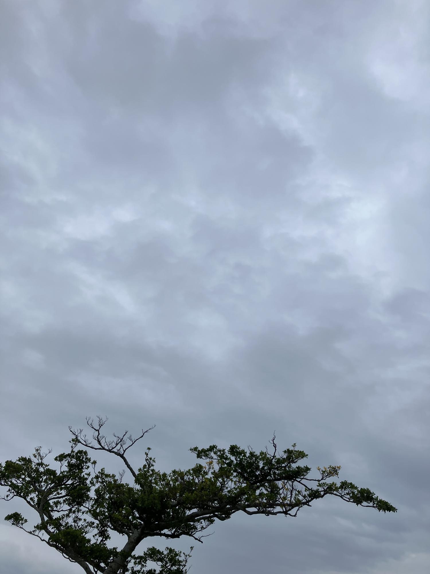 イェスタディの１５時２３分