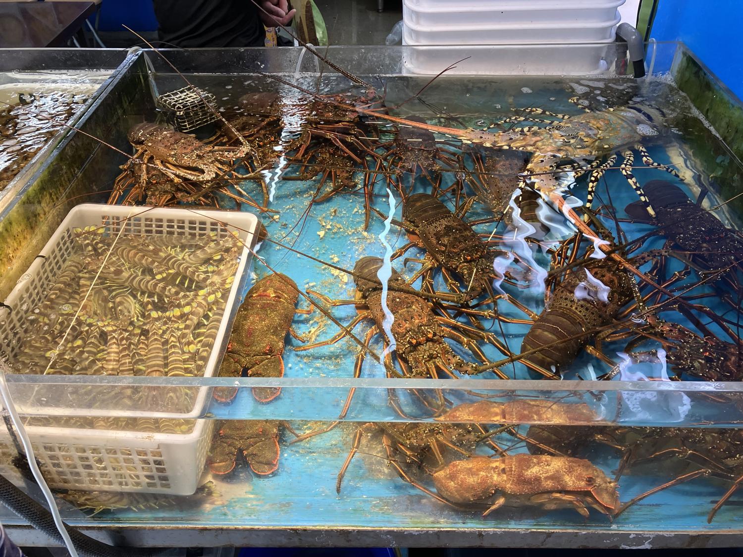 泊魚市で海老