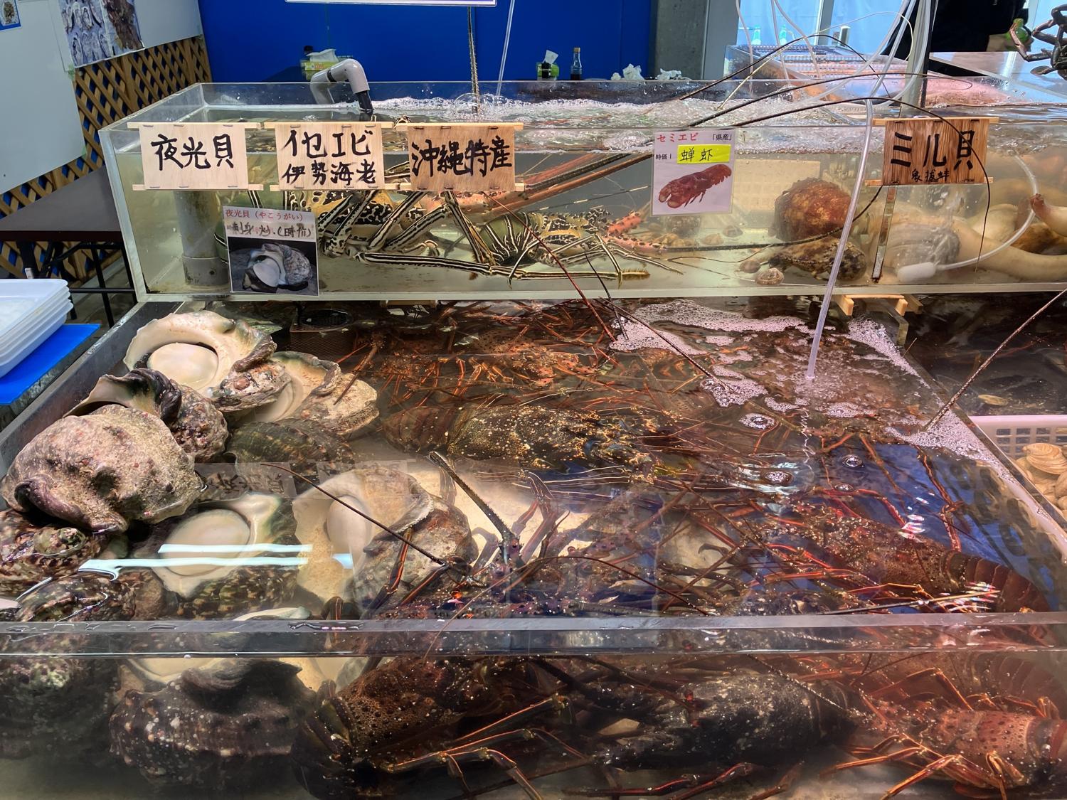泊魚市で貝