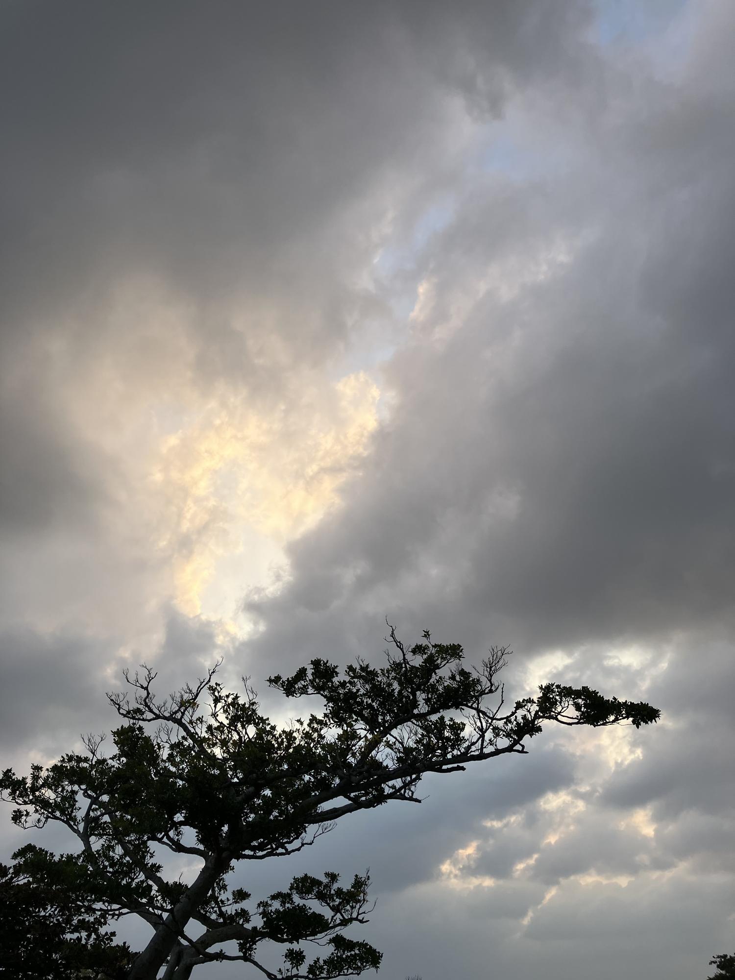 イェスタディの１７時３７分