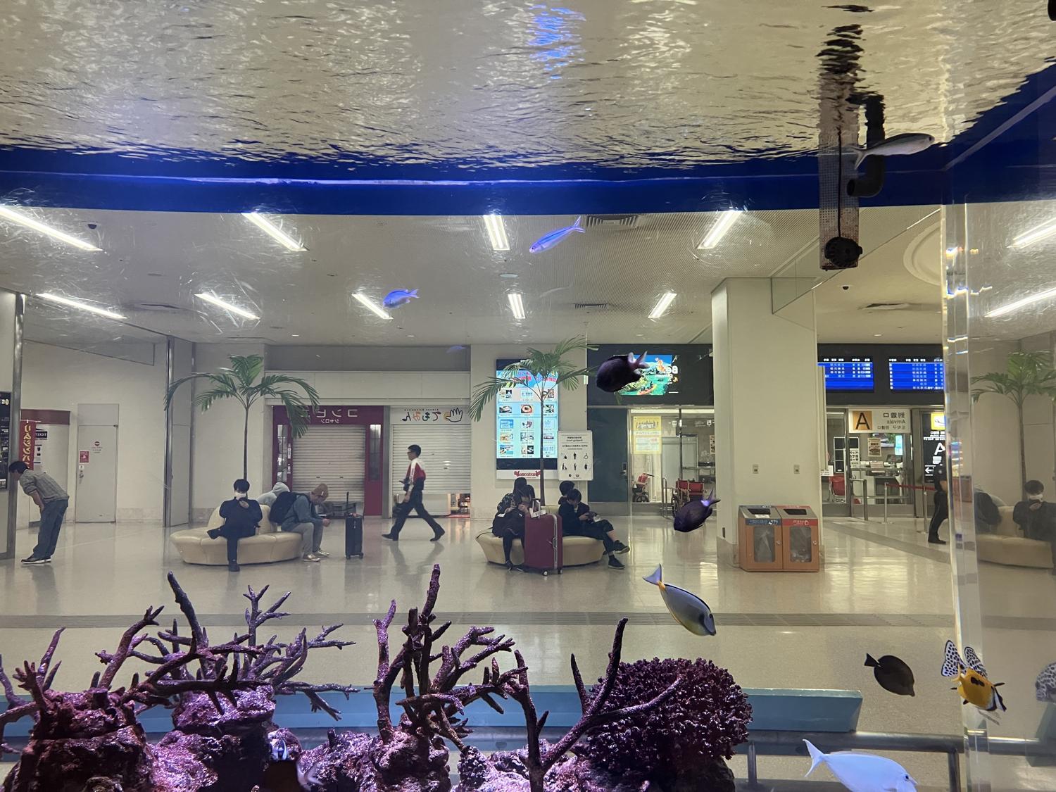 昨日の２０時０４分　那覇空港の水槽