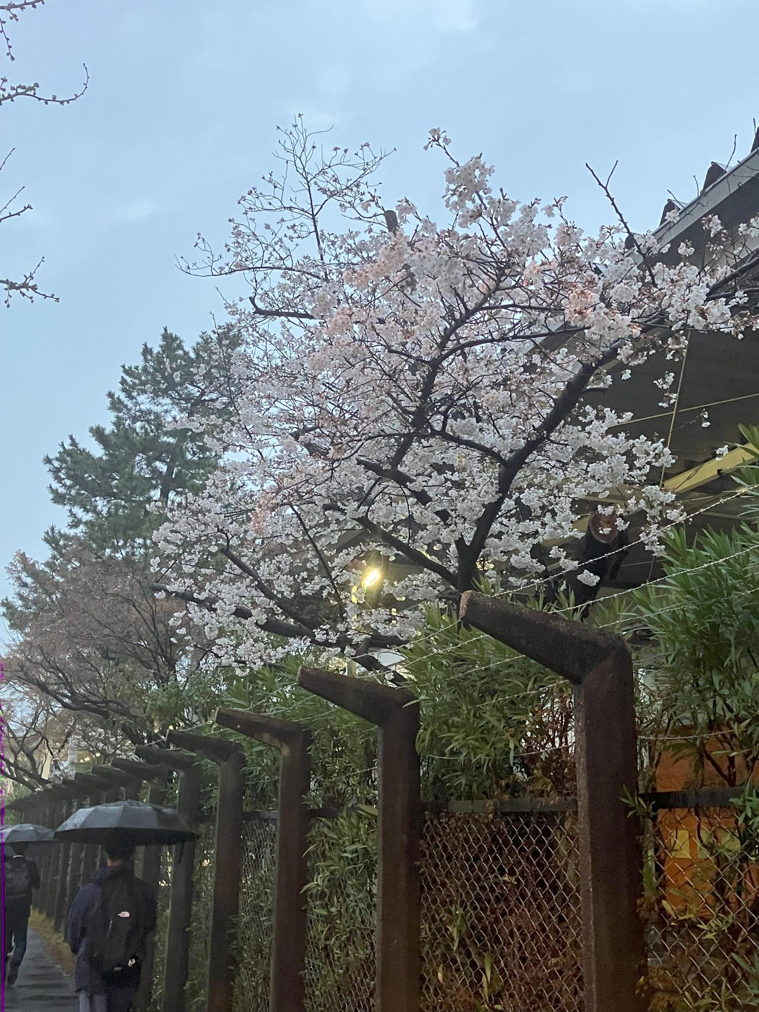 本日の１８時３７分