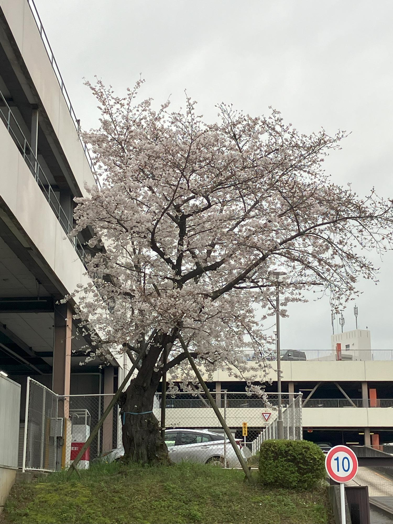 本日の12時１６分