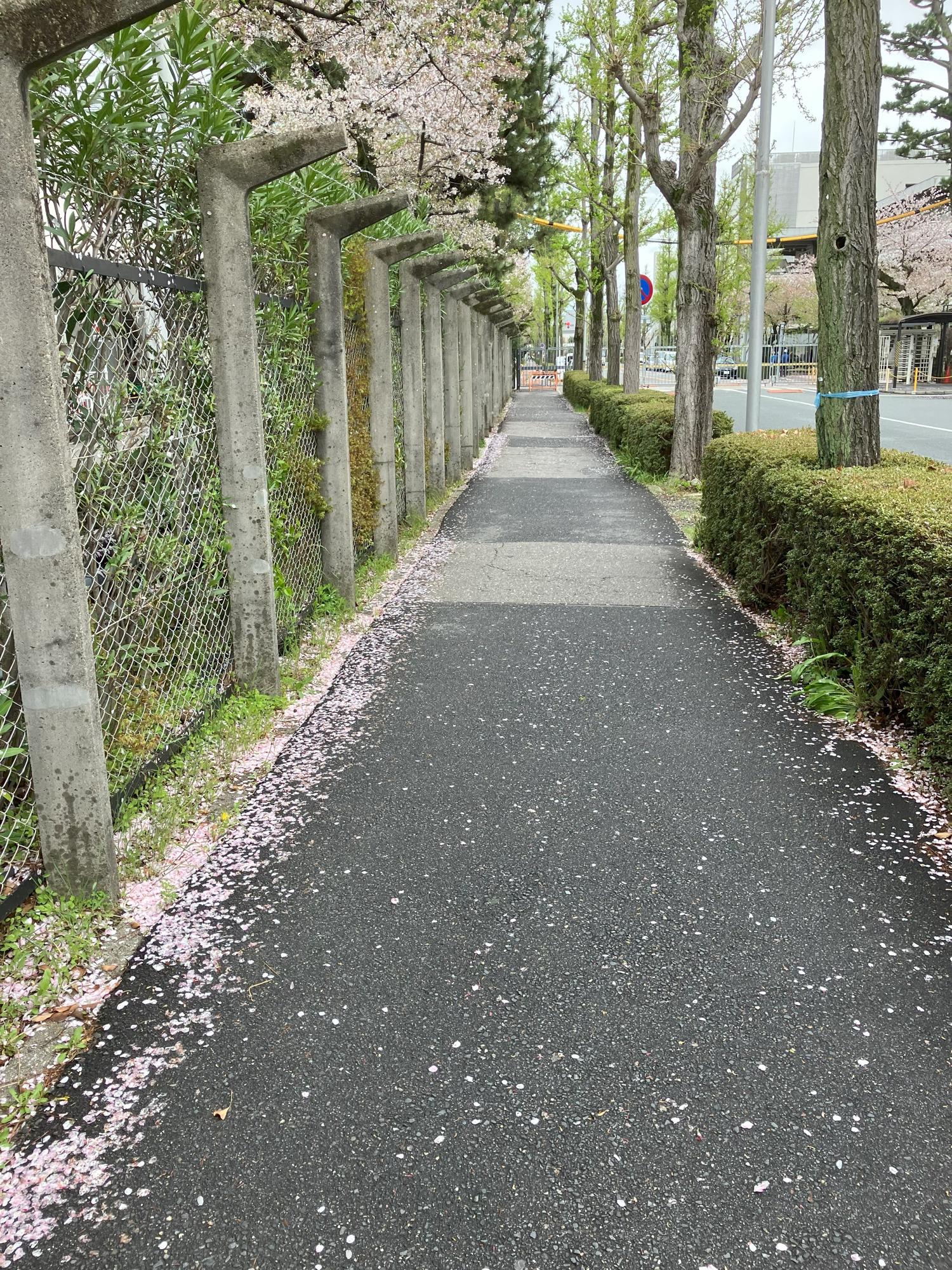 本日の11時14分