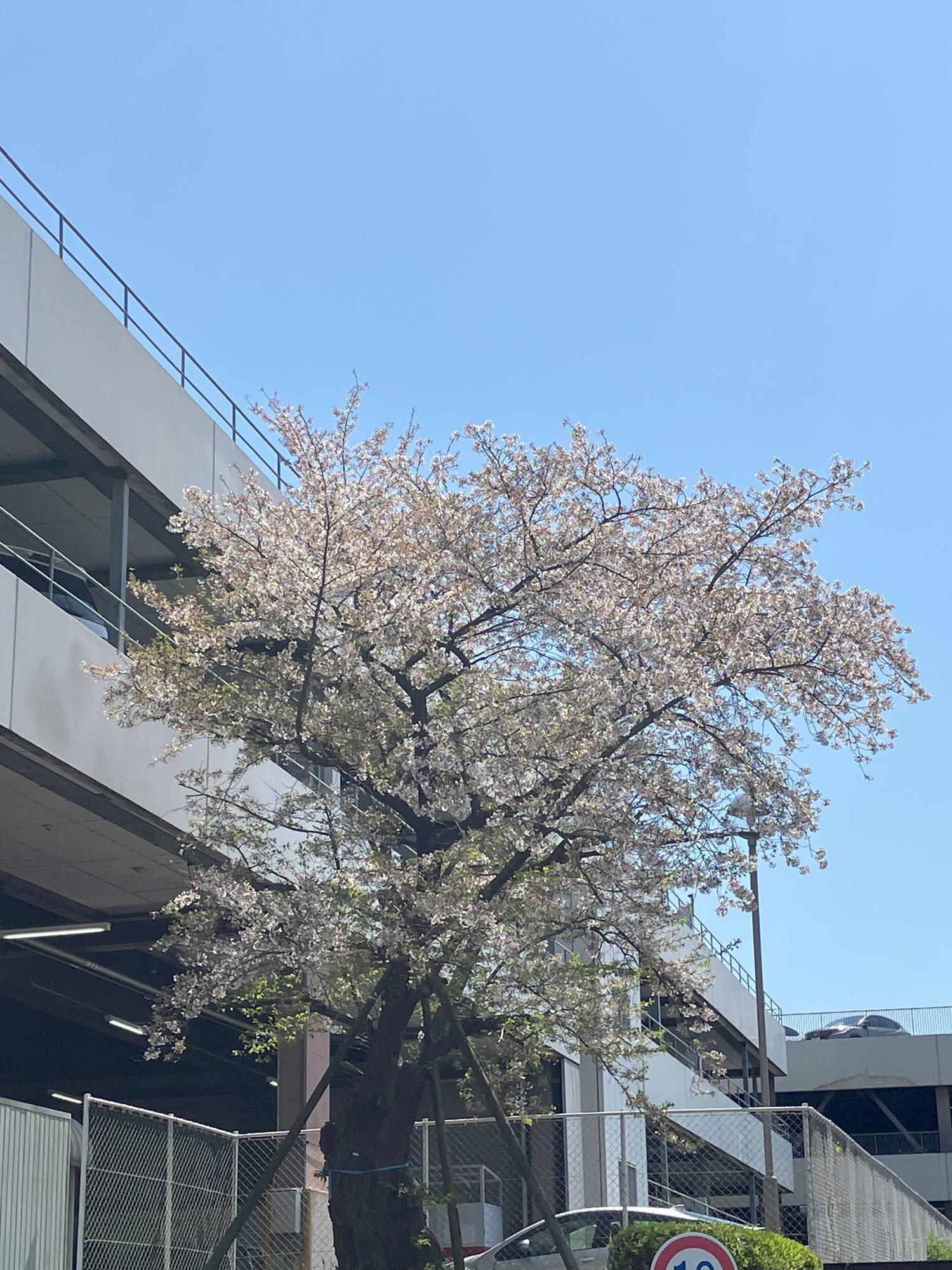 昨日の10時２８分