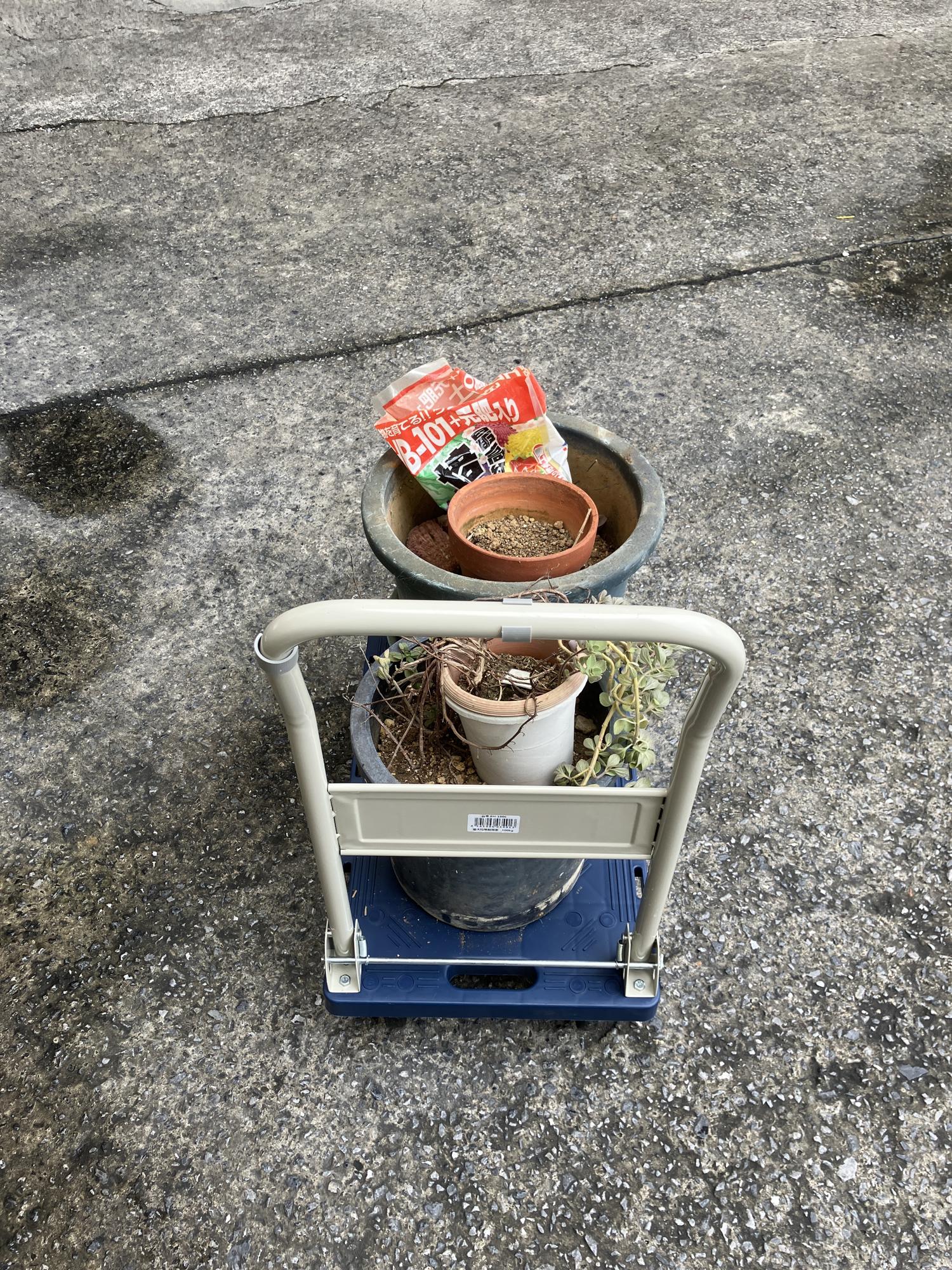一回目　ベランダの鉢