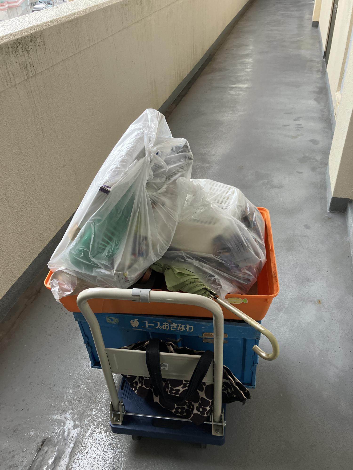 三回目　ベランダの鉢など