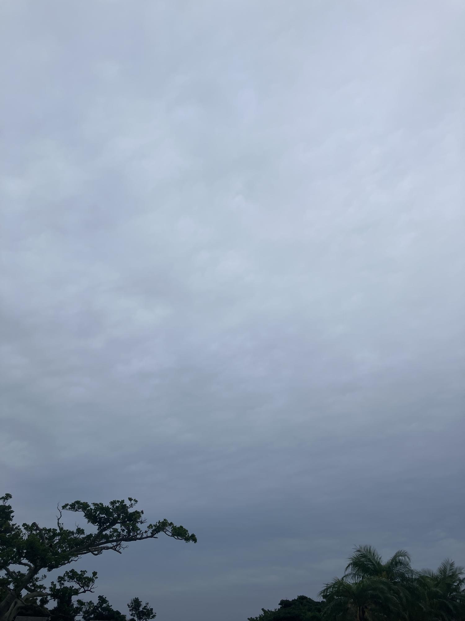 イェスタディの１７時３７分
