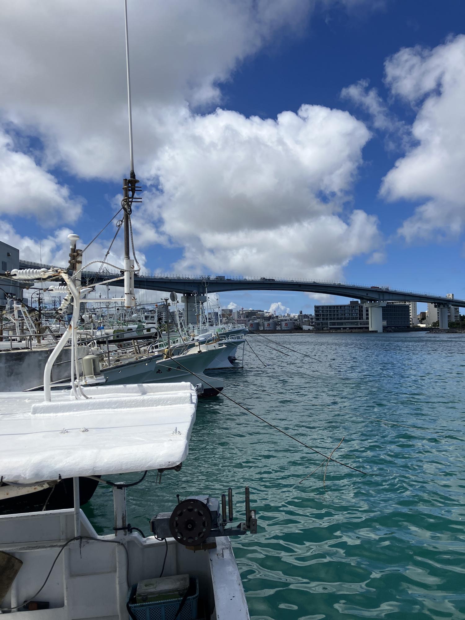 泊魚市場の港