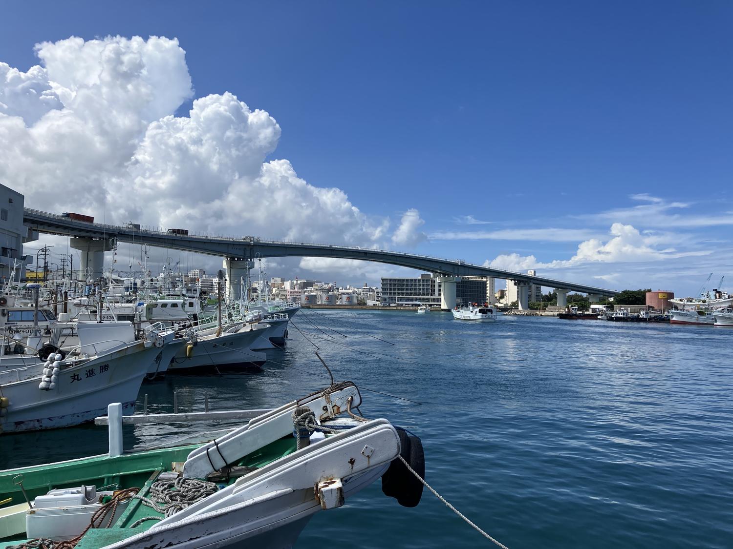 泊港