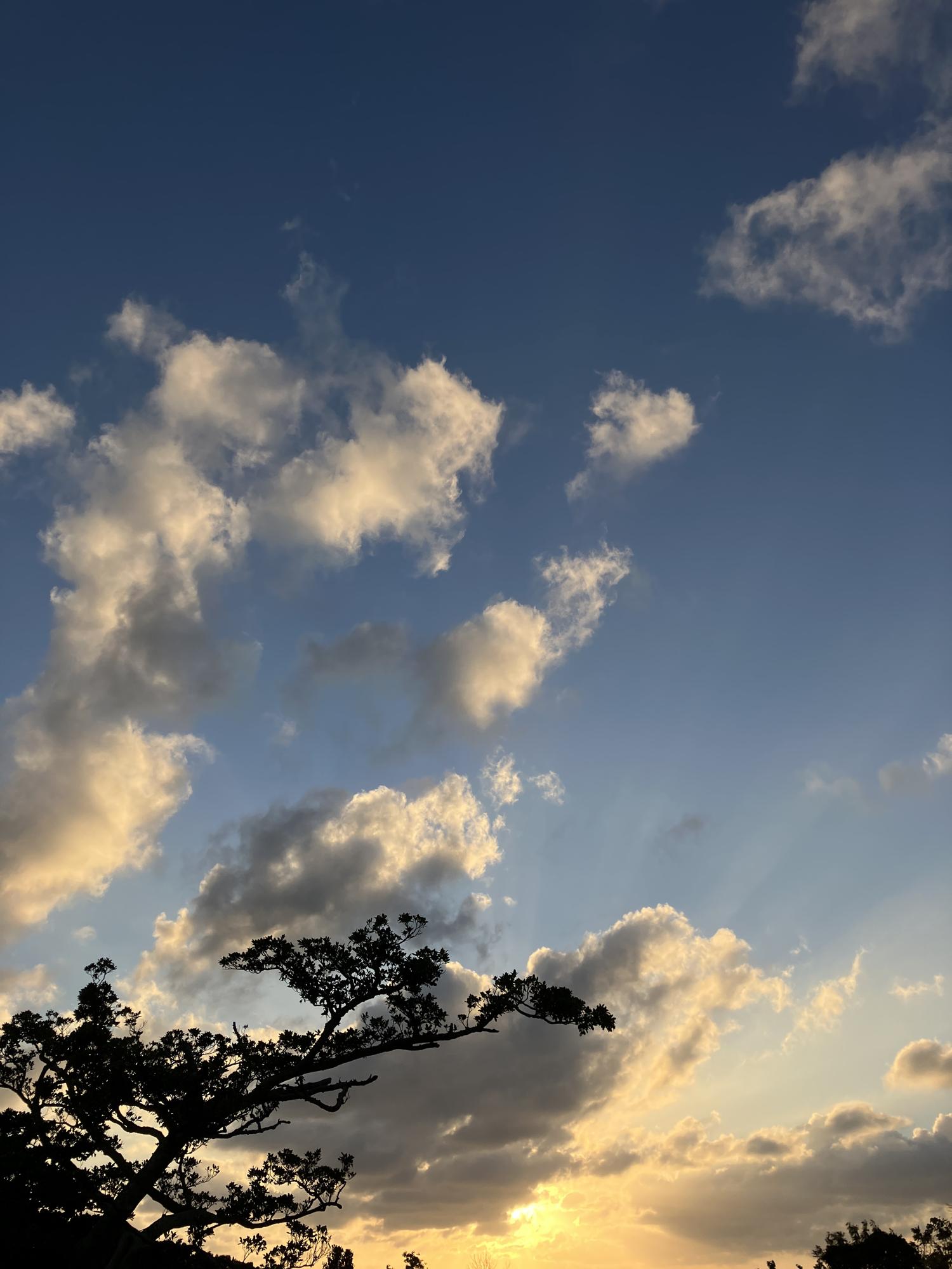 イェスタディの１７時１２分