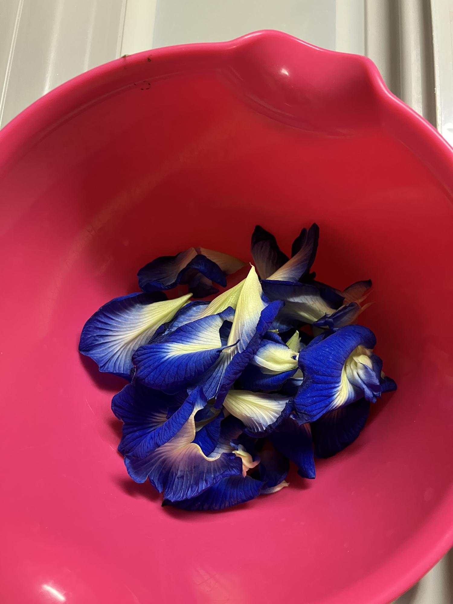 花を水洗いする