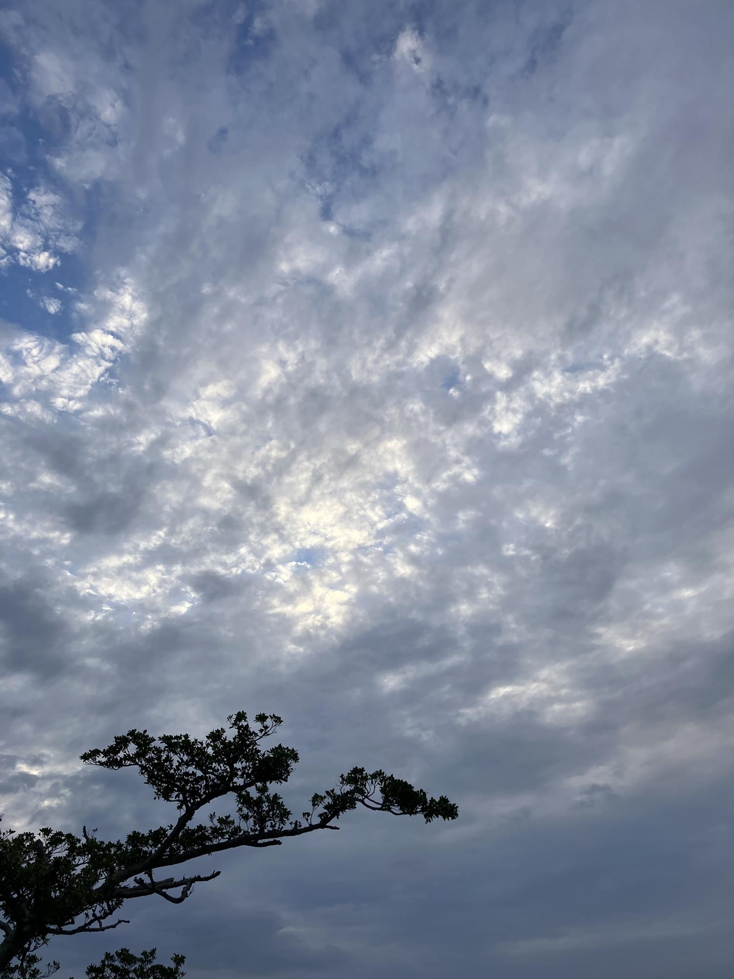 イェスタディの１７時１９分