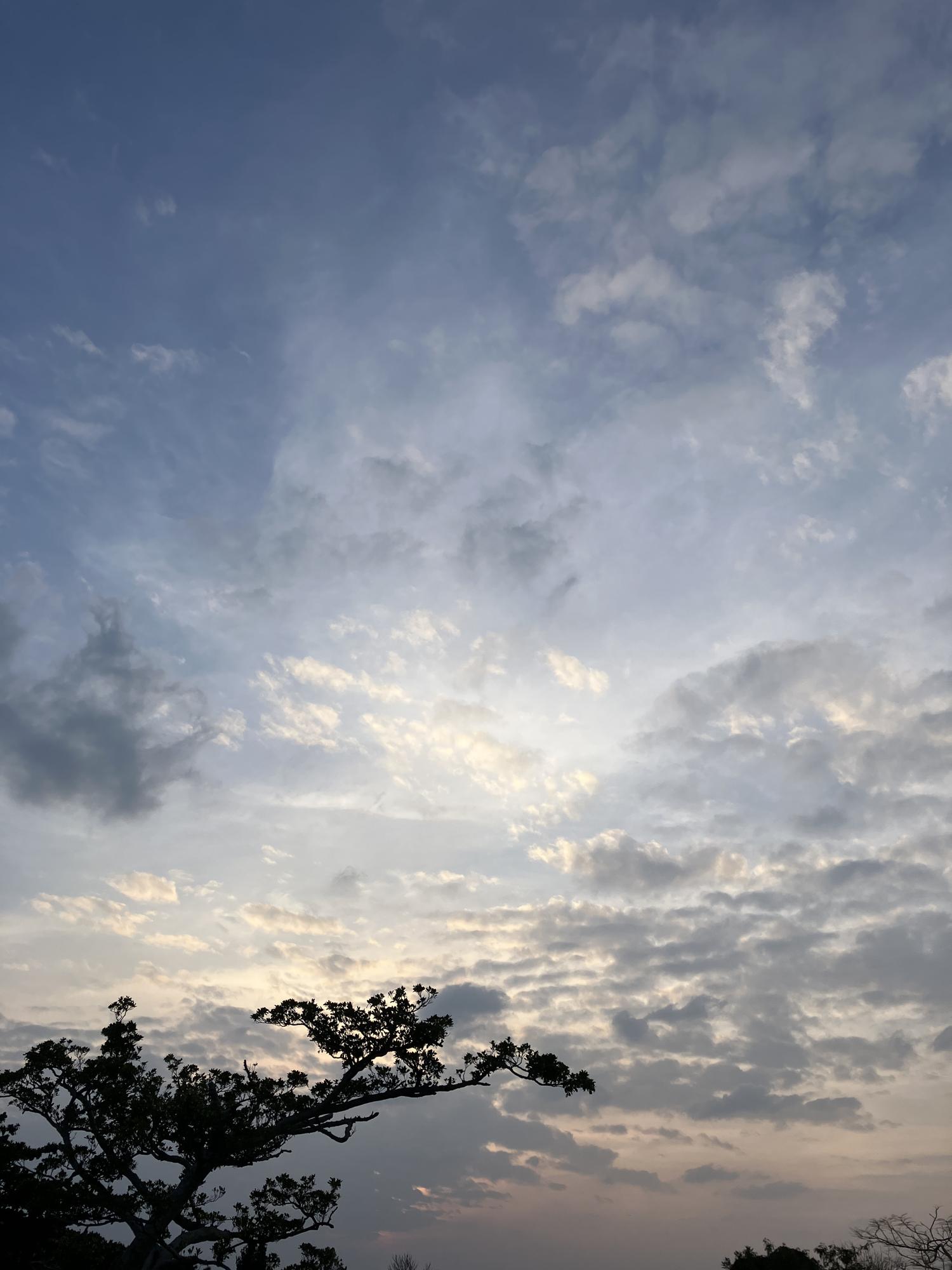 イェスタディの１７時１５分