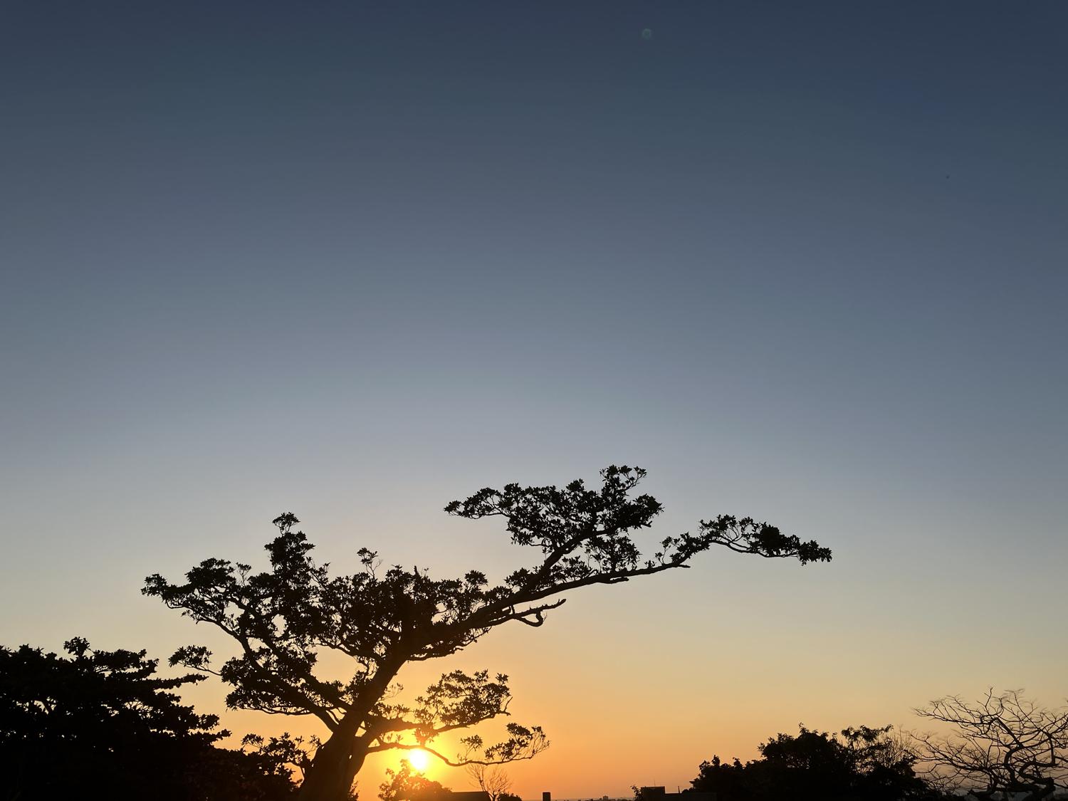 イェスタディの１７時２４分