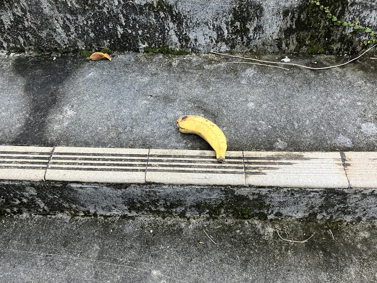 階段に置かれたバナナ