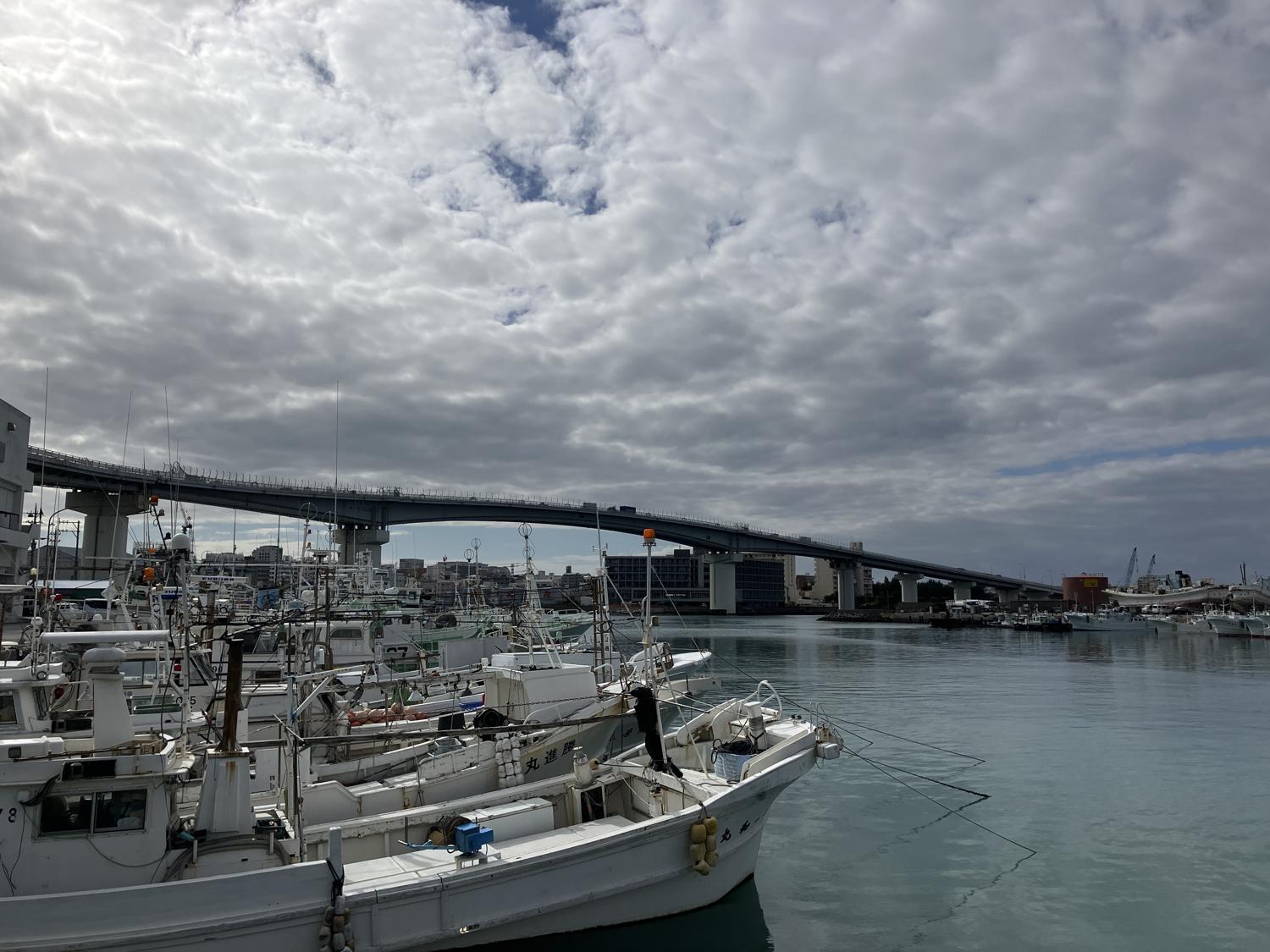 １０時４７分　泊魚港