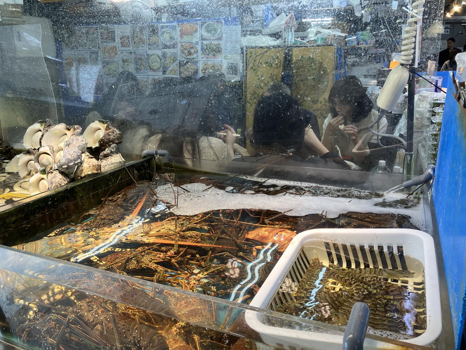 泊魚市場　イセエビ、ビーニルの仕切りの裏は人で一杯