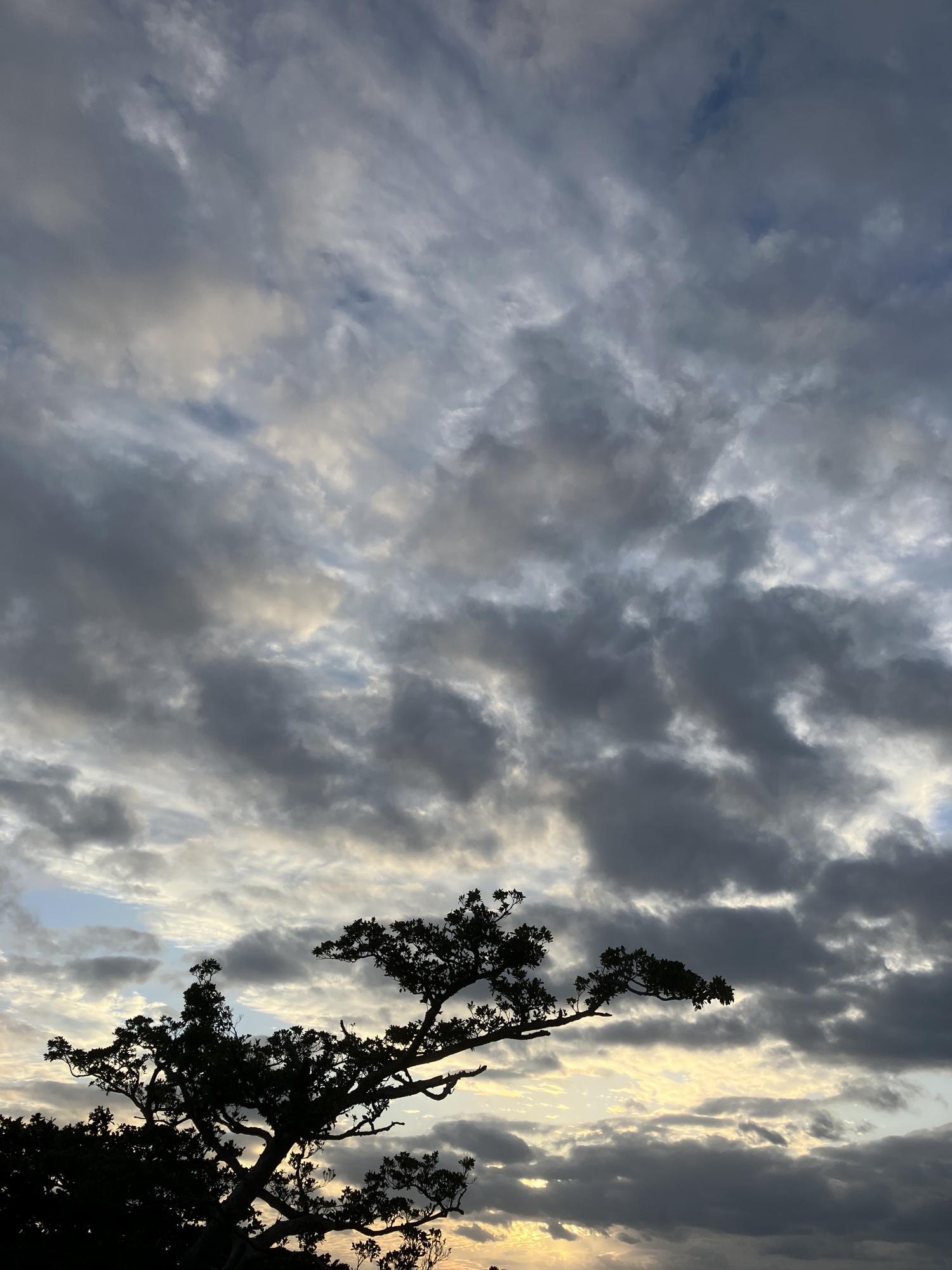 イェスタディの１７時１４分