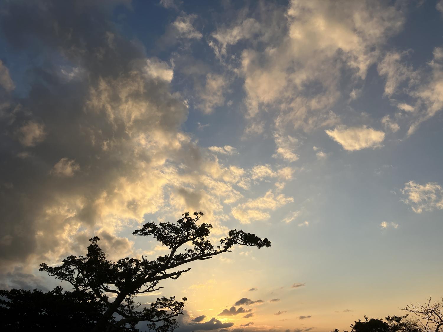 イェスタディの１７時１９分