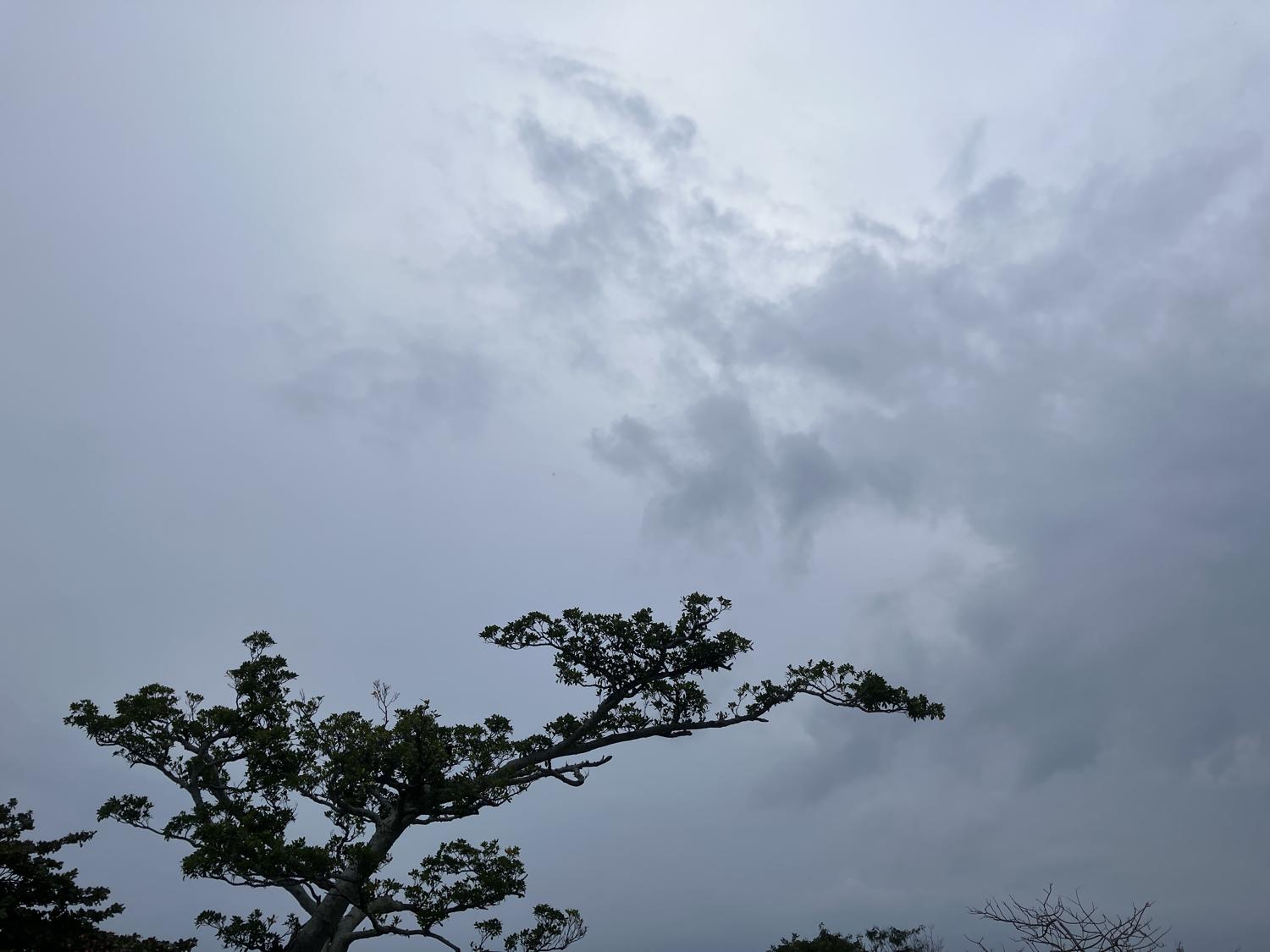 イェスタディの１７時０８分