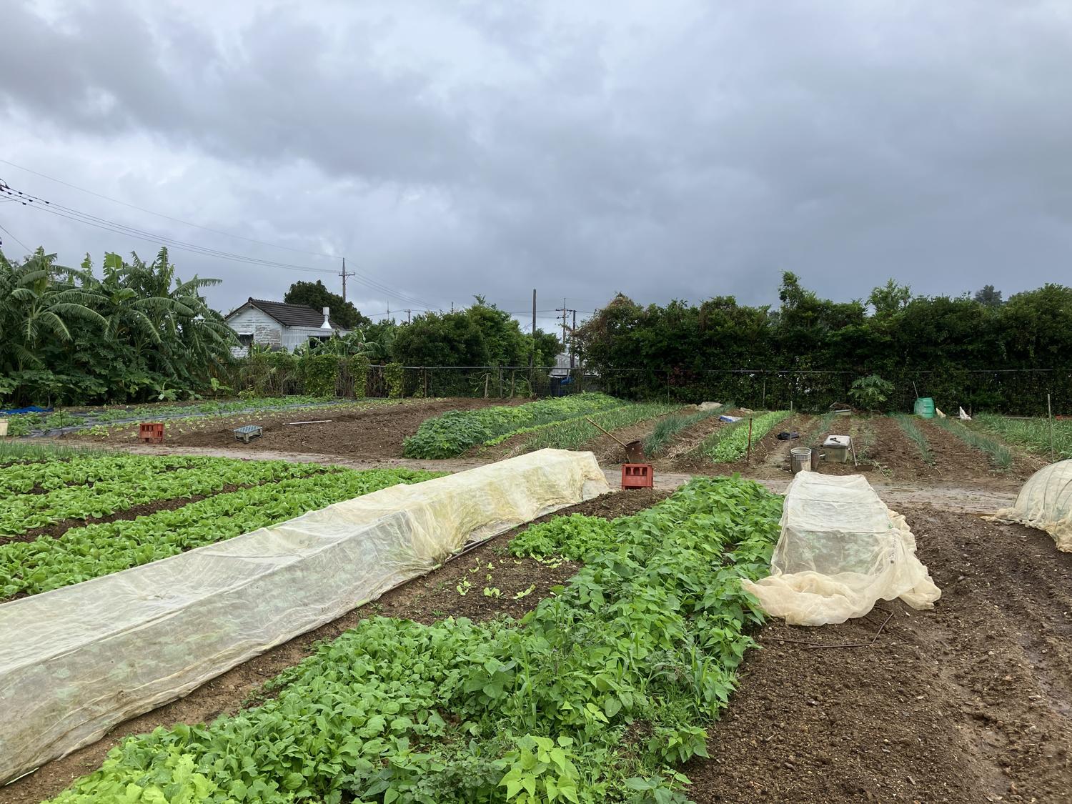 イェスタディの１１時２６分