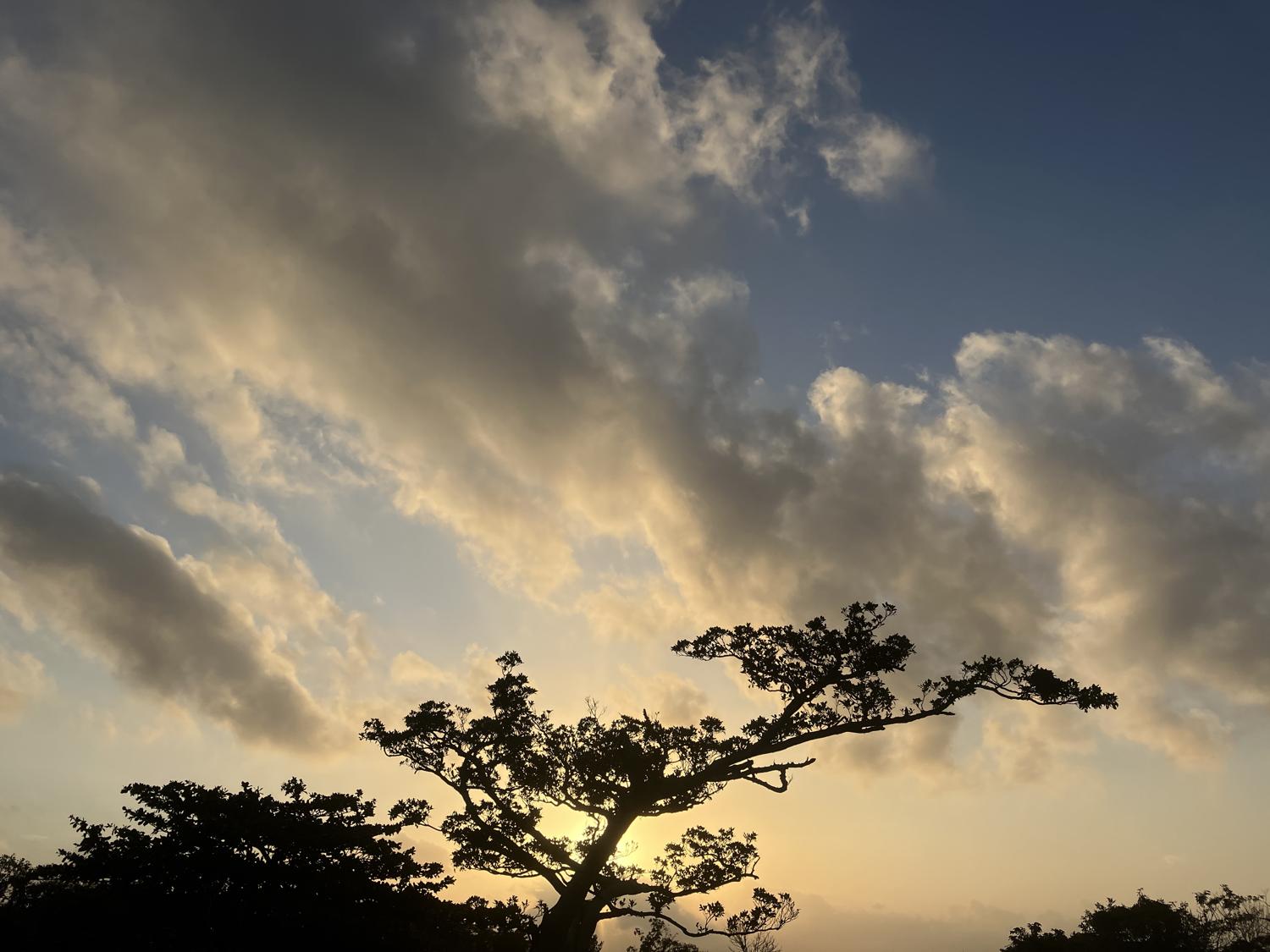 イェスタディの１７時１６分