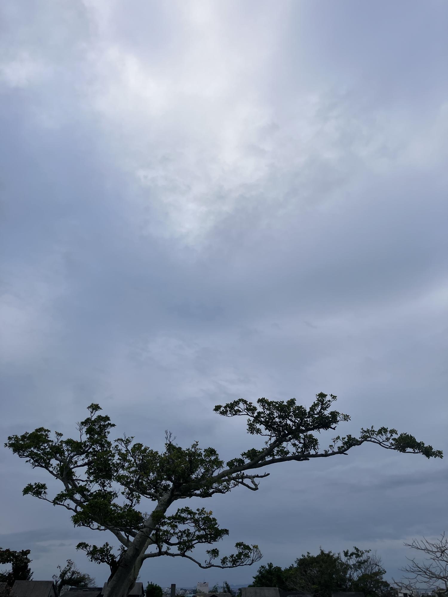 イェスタディの１７時０６分