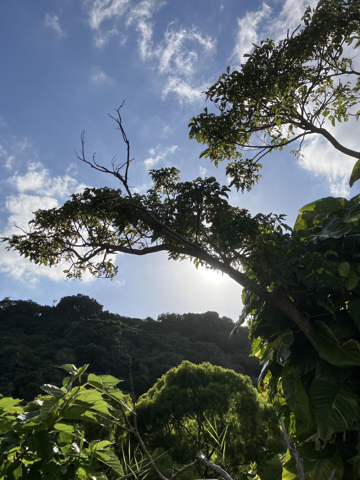 イェスタディの１５時５０分