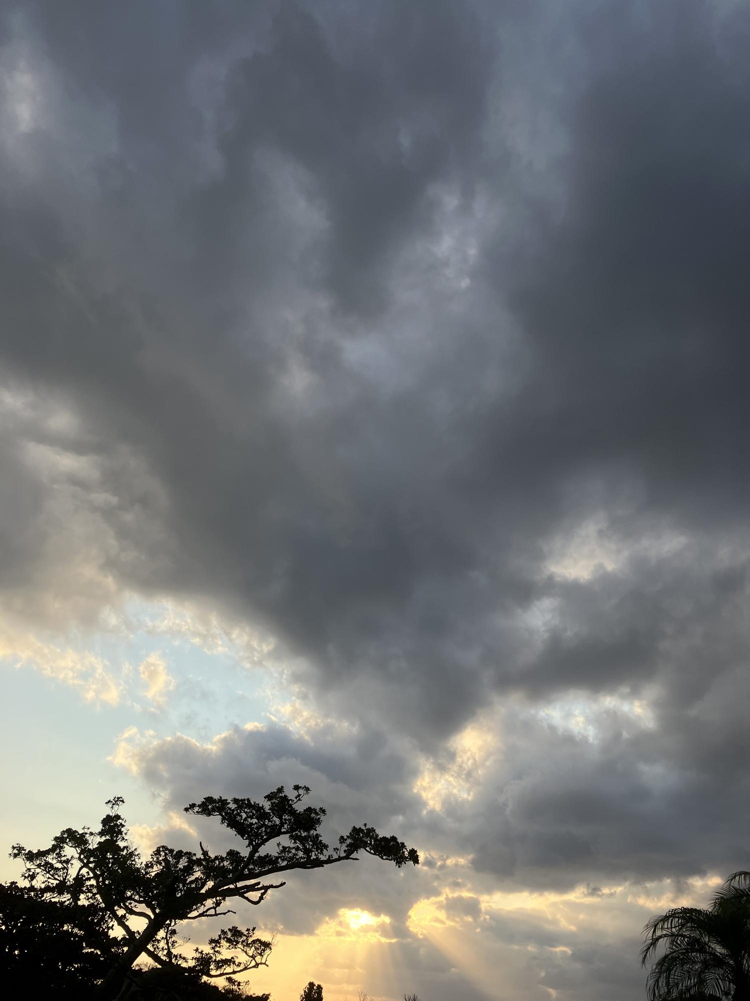 イェスタディの１７時１４分
