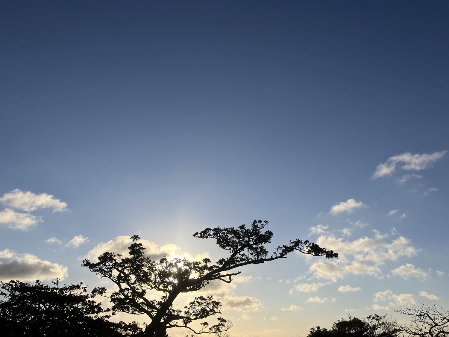 イェスタディの１７時０９分