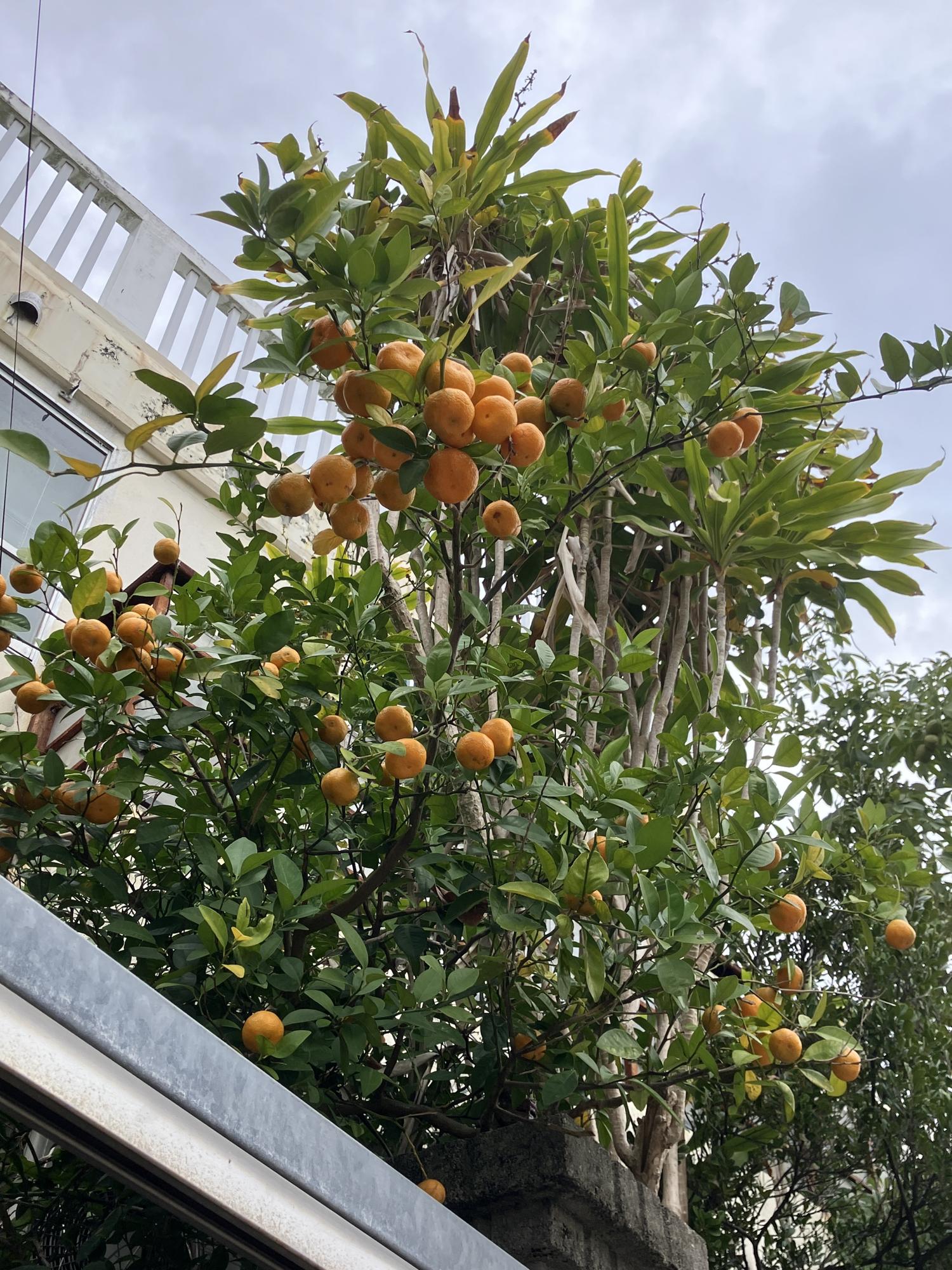 イェスタディの１５時２１分