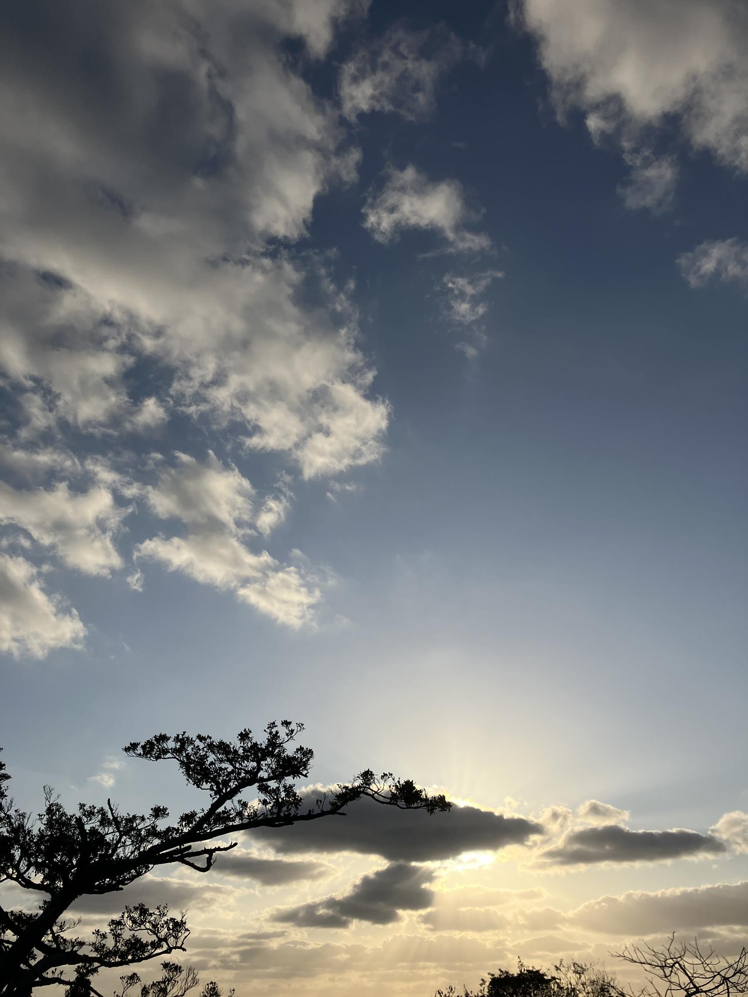 イェスタディの１７時２０分