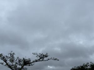 空