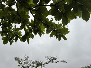 空
