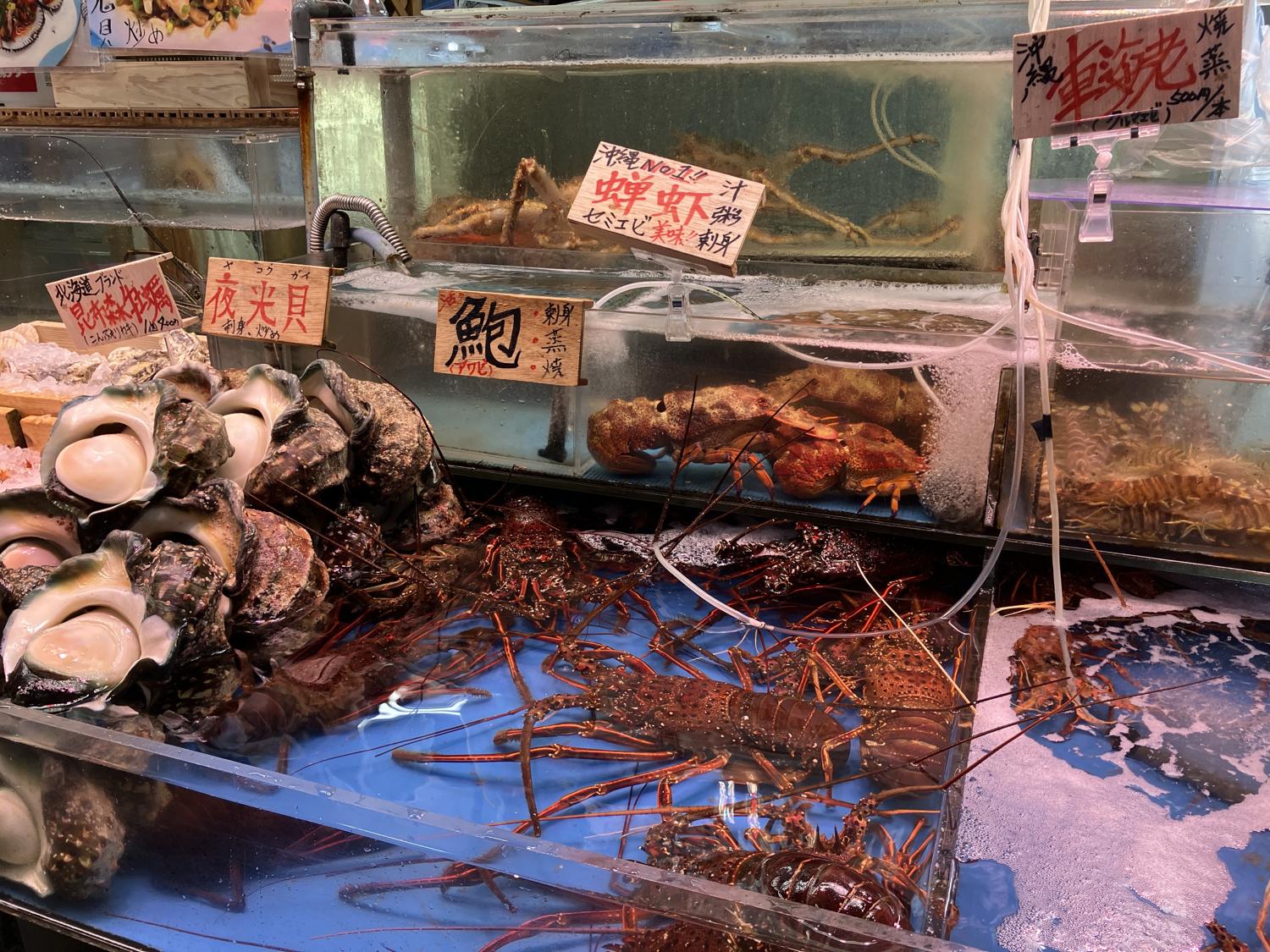 水槽のエビたち