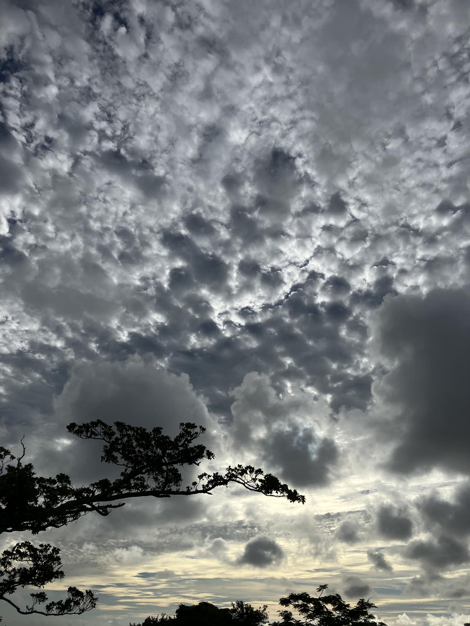 イェスタディの１７時４４分